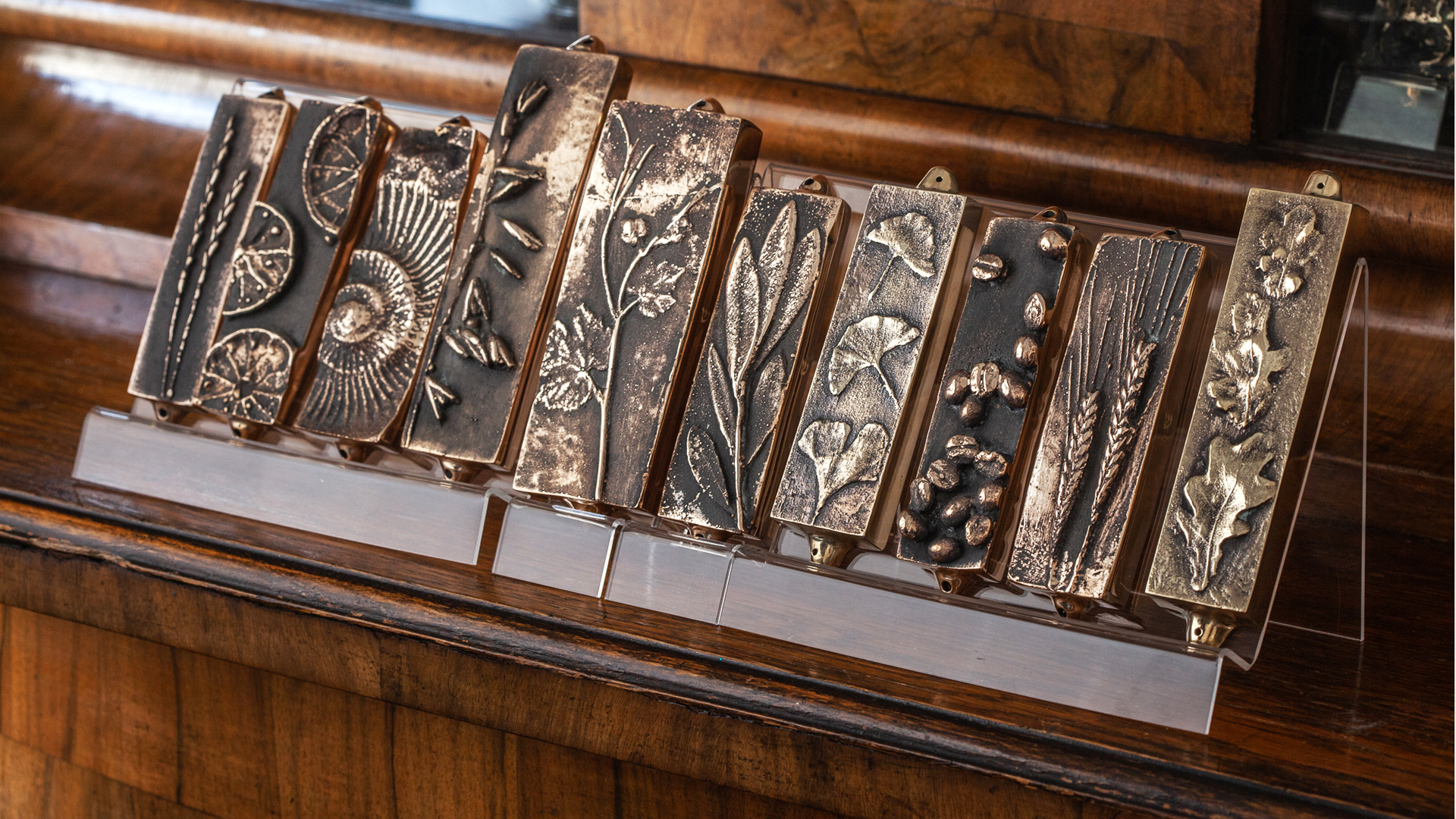 Bronze mezuzah cases with detailed nature-inspired designs featuring plants, leaves, and seeds, displayed on a stand and referencing mezuzah trace, designed by MI POLIN design